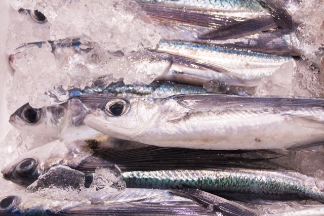 あごとはトビウオの事 焼きあごで取っただしが美味しい理由